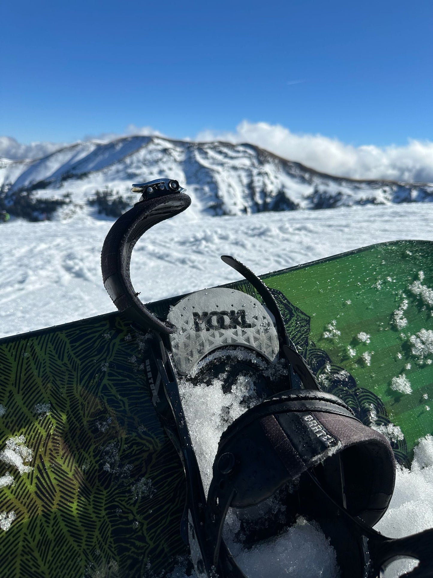 Type A Large ( Mission, Freestyle, Custom)